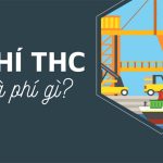 Phí THC là gì? Những điều cần biết về các loại phụ phí trong vận tải đường biển