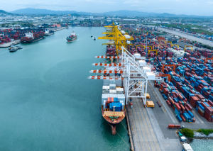Vận tải đường biển đóng vai trò quan trọng trong chuỗi cung ứng toàn cầu