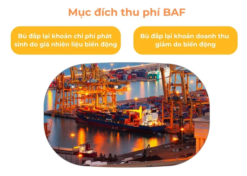 BAF là phí gì trong xuất nhập khẩu?