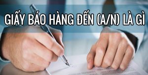 Giấy báo hàng đến là gì?