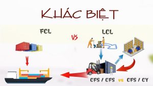 Sự khác biệt giữa CY và CFS trong logistics