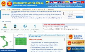 Manifest là gì? Hướng dẫn khai E-Manifest