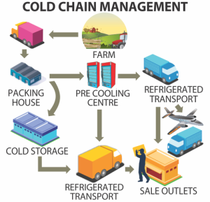 Tìm hiểu chuỗi cung ứng lạnh (Cold Chain)