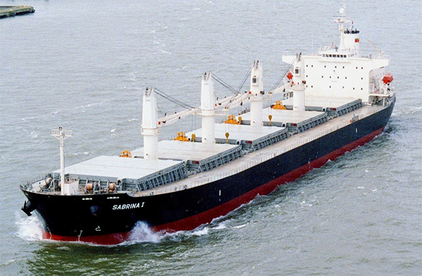 Tàu chở hàng rời (Bulk Carrier)