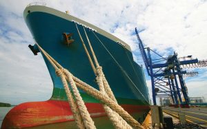 Global Pacific (PCT) “Chơi Lớn” Với Đội Tàu Mới