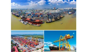 HÀNH TRÌNH TÁI SINH TRÊN BIỂN LỚN