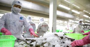 Có cơ sở đạt mục tiêu tăng trưởng xuất khẩu 2025