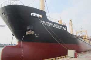 ‘Đại gia’ vận tải biển một thời ngập trong thua lỗ hơn 5.500 tỷ đồng